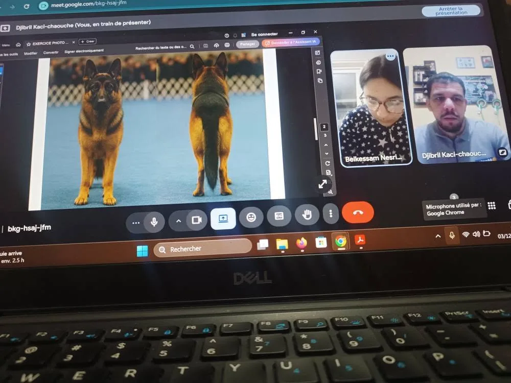 Online lesson on a laptop