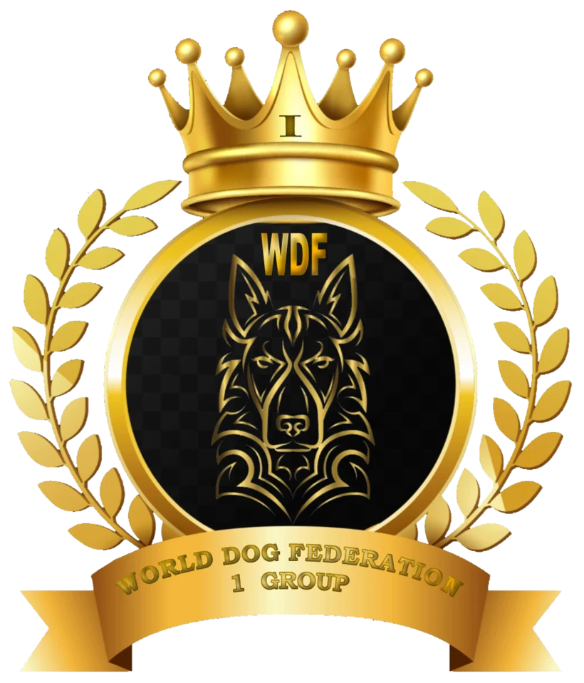 WDF Group 1