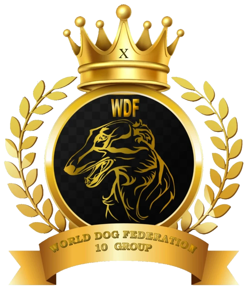 WDF Group 10