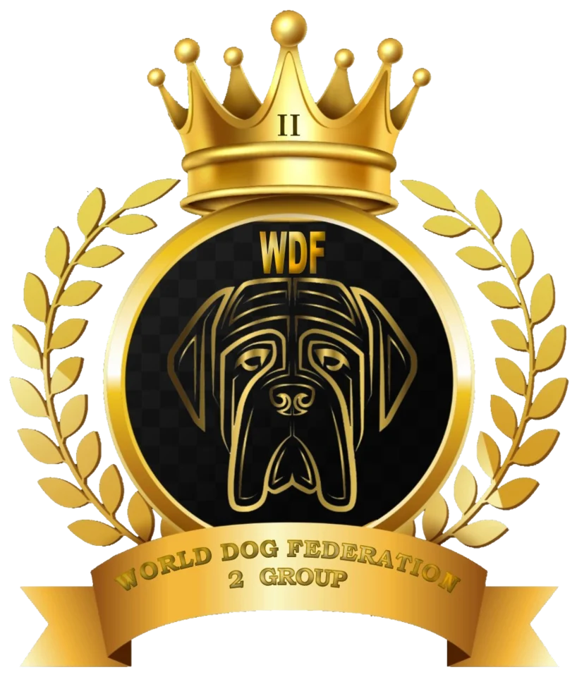 WDF Group 2