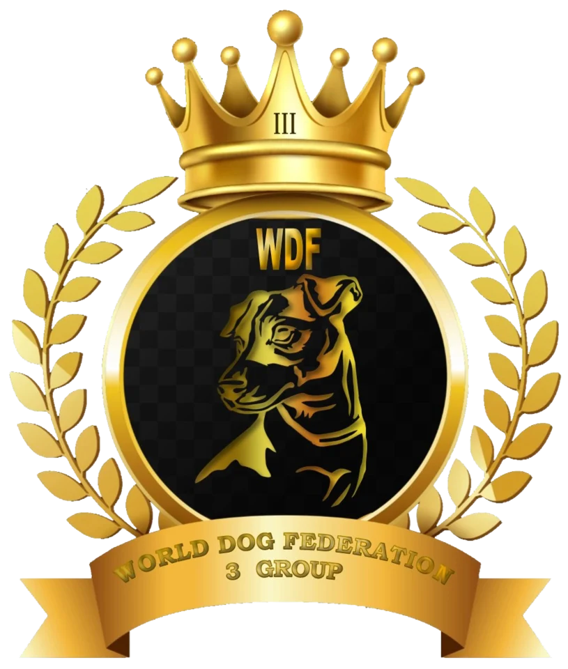 WDF Group 3
