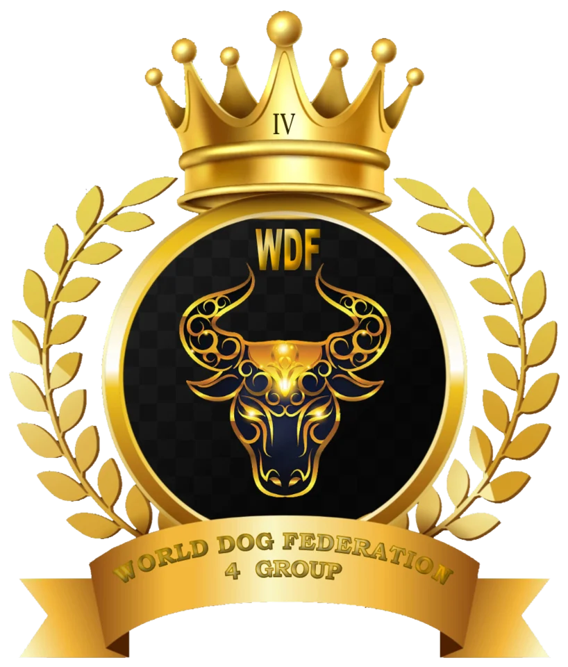 WDF Group 4