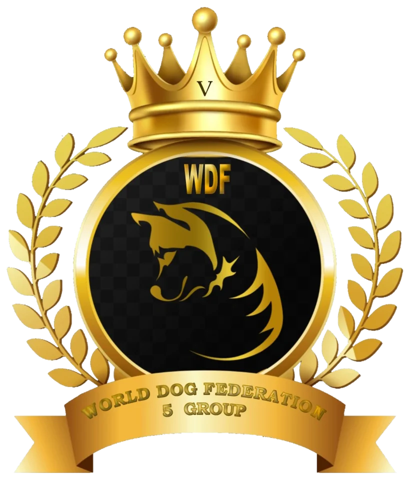 WDF Group 5