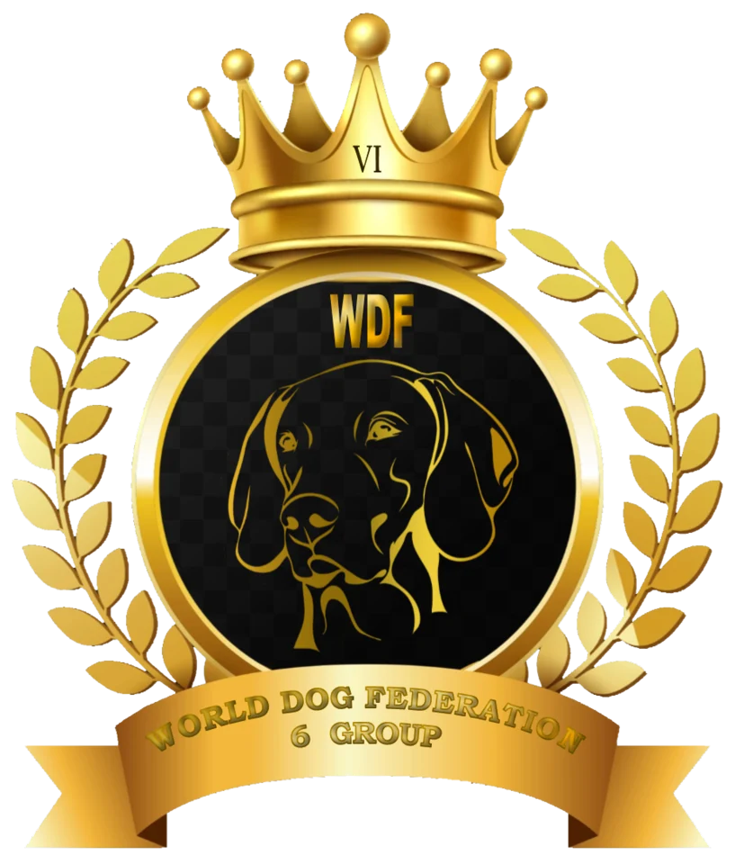 WDF Group 6