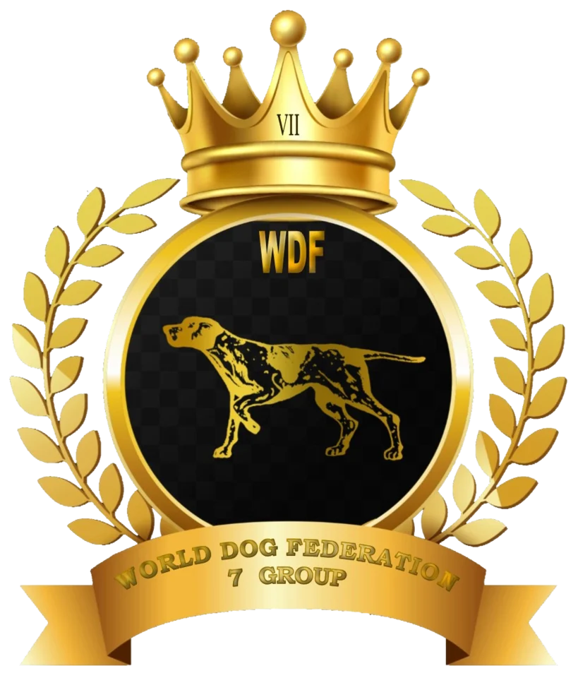 WDF Group 7