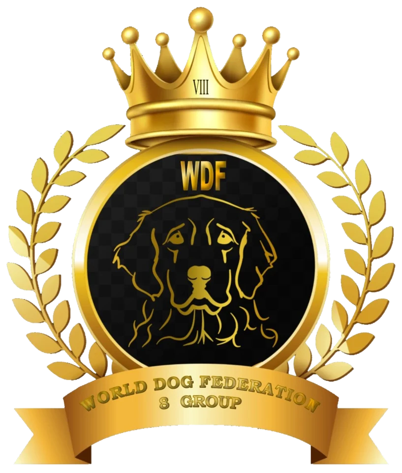 WDF Group 8