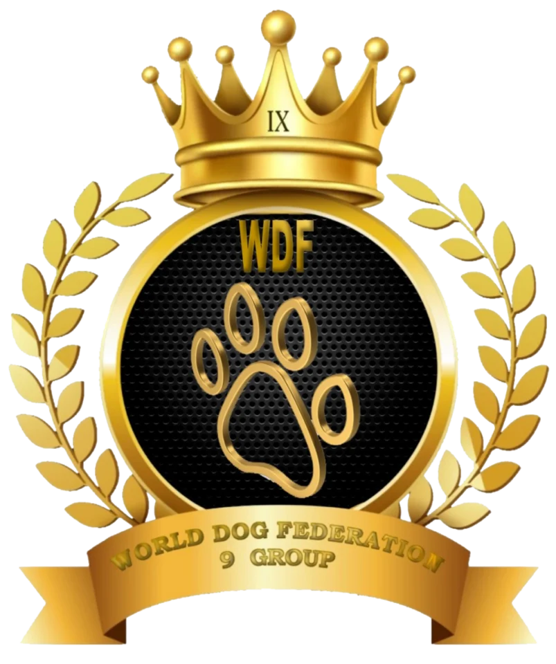 WDF Group 9