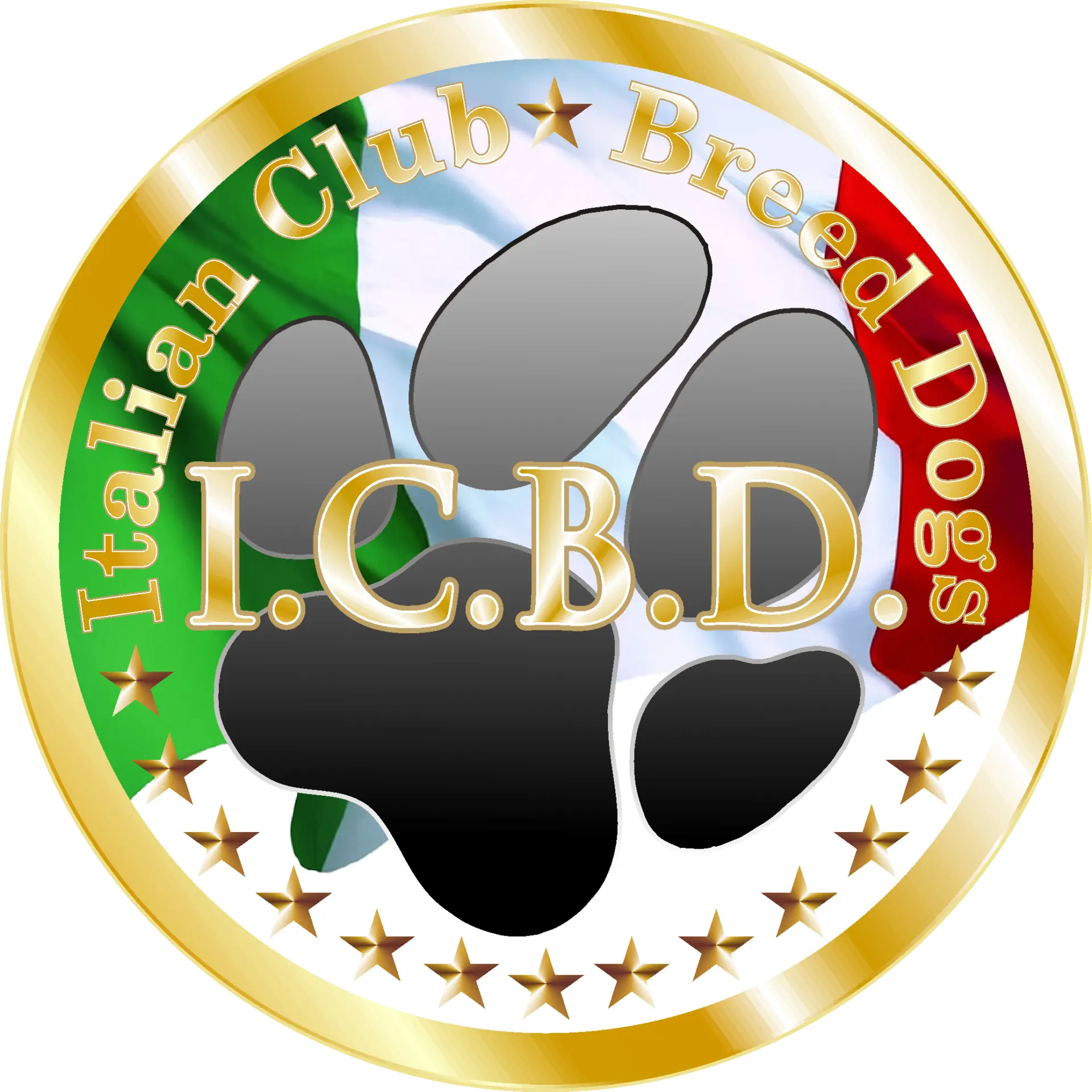 ICBD Representative for Italy