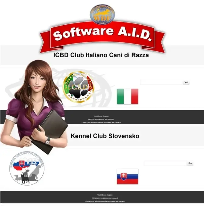 The number one software in the world