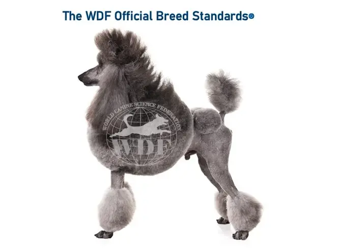 Official WDF breed standards