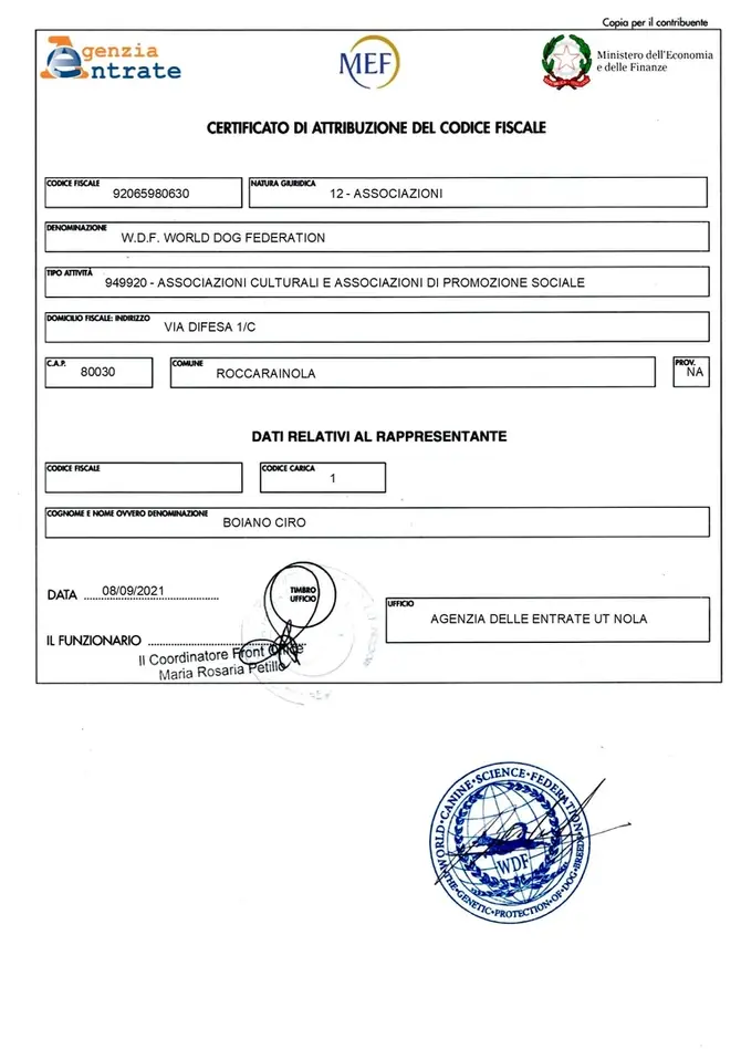 WDF Ministerial Recognition