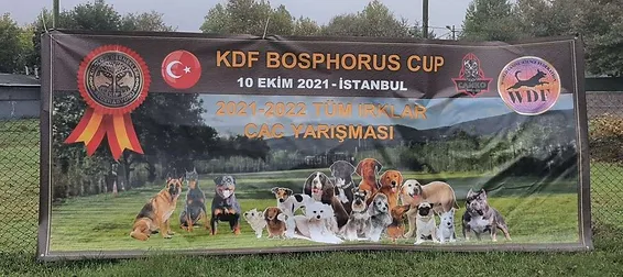 KDF-WDF BOSPHORUS CUP DOG COMPETITION