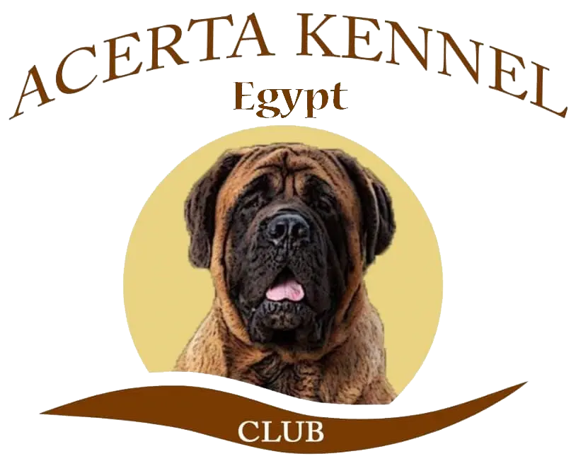 The Egyptian Club joins WDF