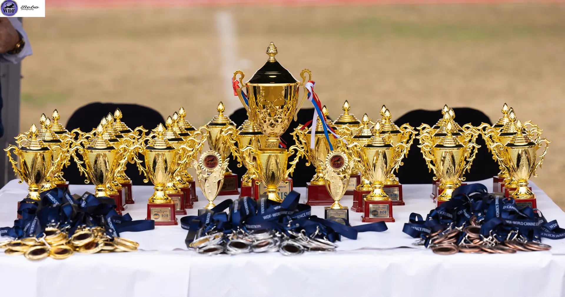 International Dog Show in Egypt