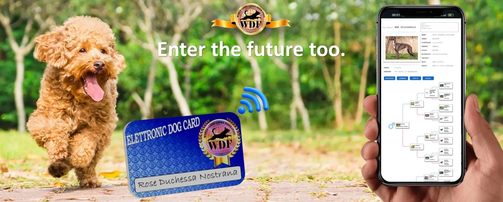 Enter the future too.
