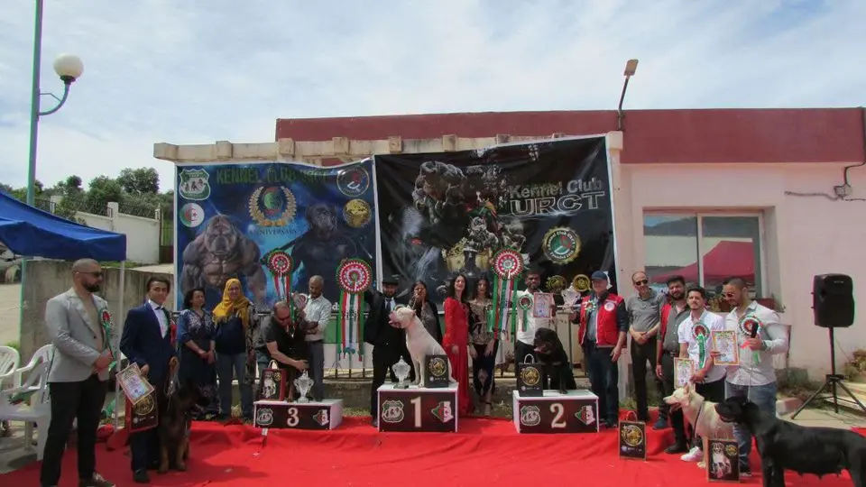 Magnificent Pro Kennel dog Show