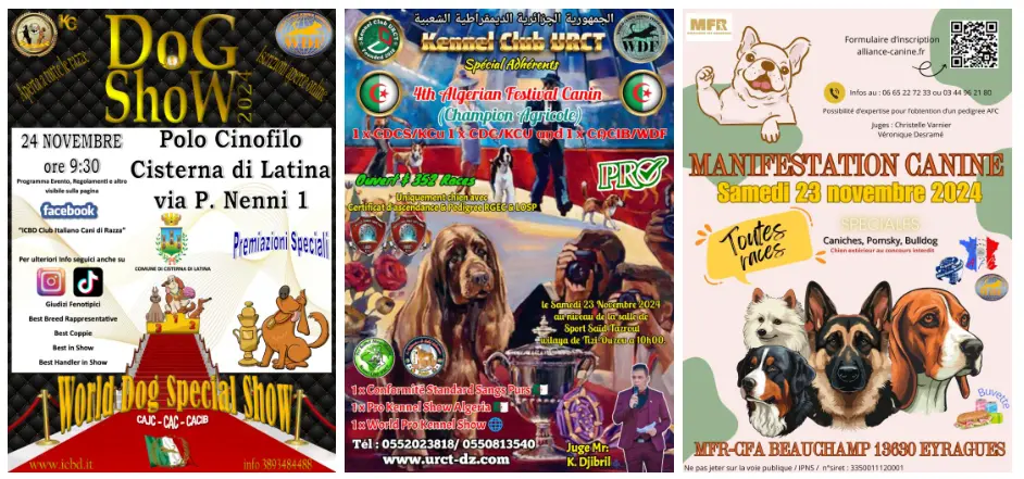 A weekend of Show