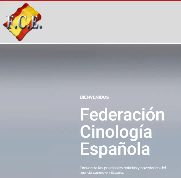 Spain joins the WDF with the FCE