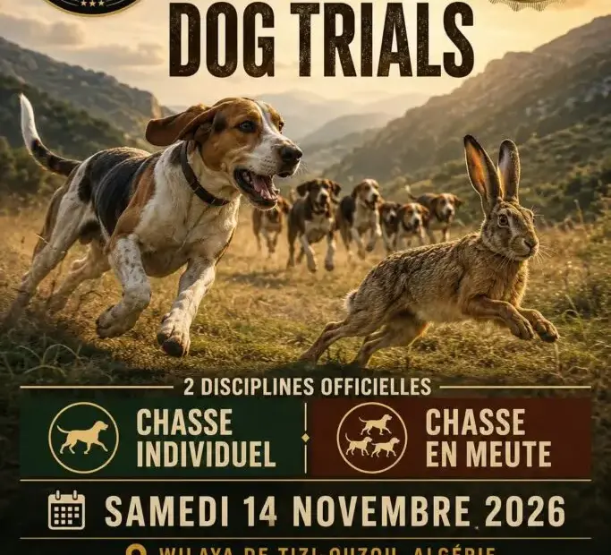 Running Dog Trials